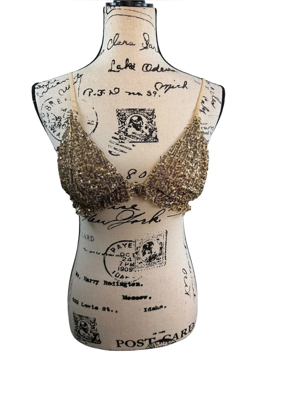 NWT! Free People Gold Rush Bralette size Large